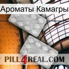 Ароматы Камагры 17